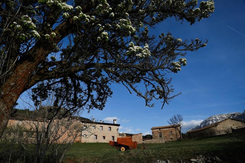 Cava Preciosa Casa Rural Cal Jaumet מראה חיצוני תמונה